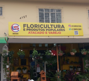 Captura de tela 2026-01-20 112849