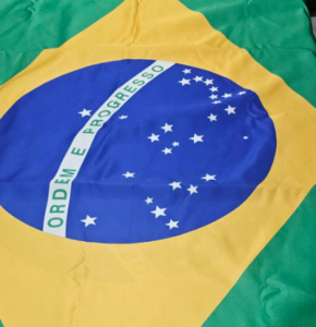 Captura de tela 2026-01-20 113037